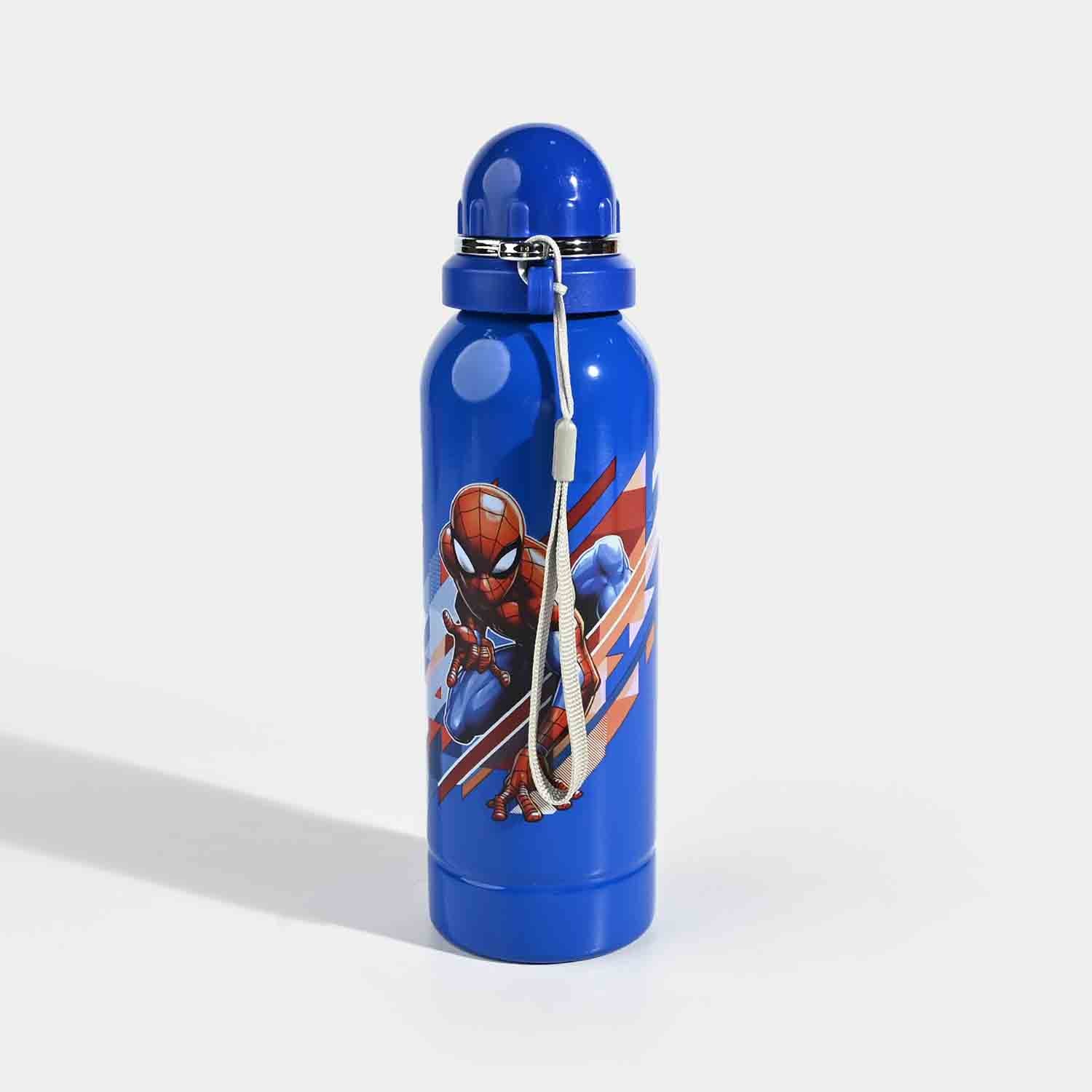 WATER BOTTLE STAINLESS STEEL | 800ML